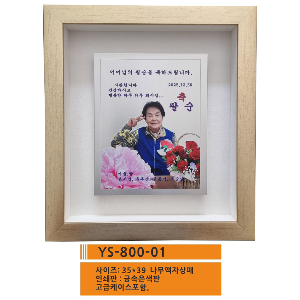 YS-800-1.jpg