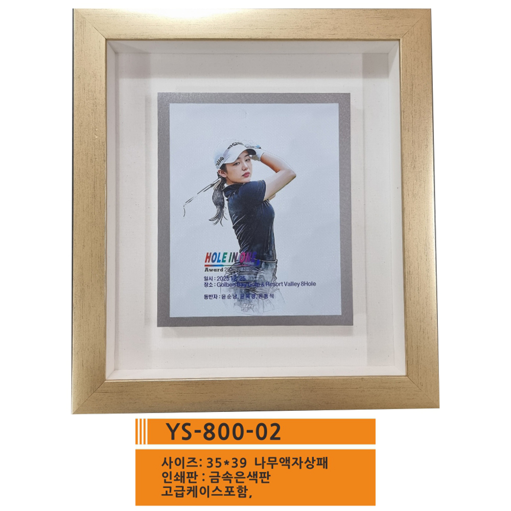 YS-800-2.jpg